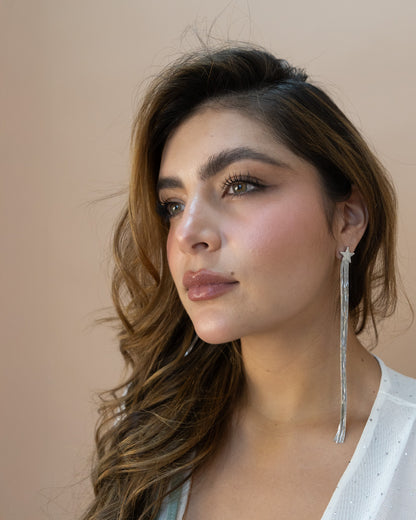 Aretes Fugaz